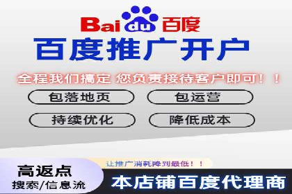 百度SEO推广案例解析与效果评估